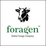 Foragen